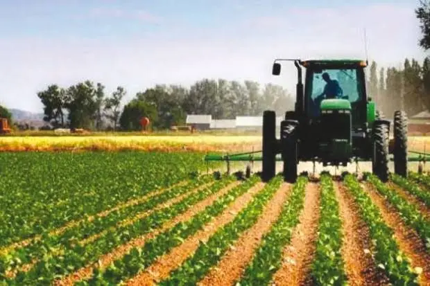 agriculture